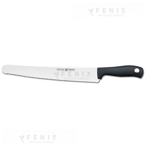 pane 26cm silverpoint 1025147726