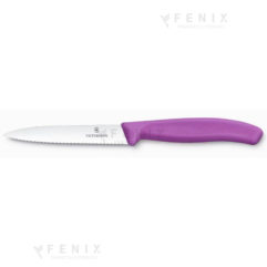 spelucchino viola dent. 11cm 67735.c1