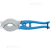tagliaricci follet